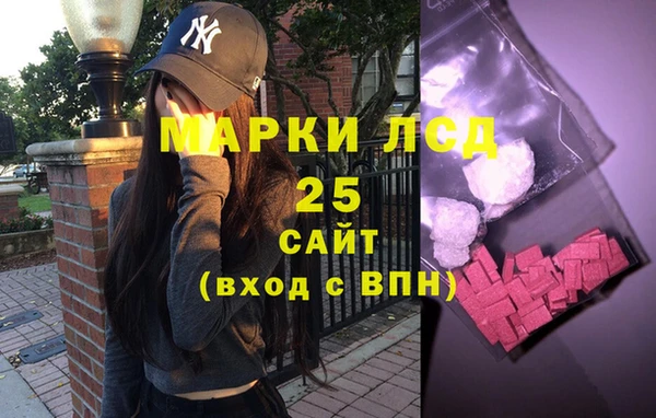стафф Бородино