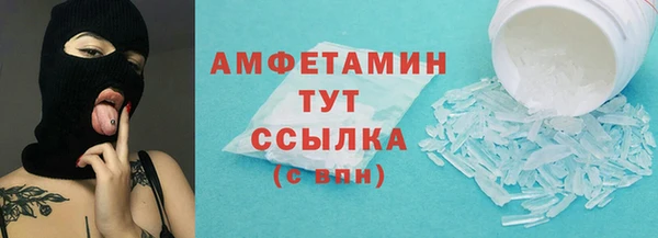 шишки Богородицк
