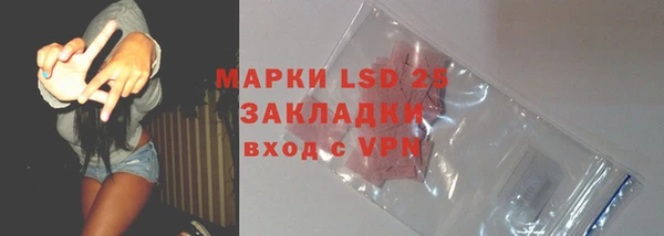шишки Богородицк