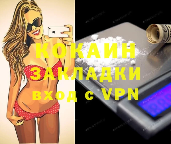 шишки Богородицк