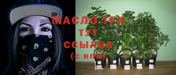 стафф Бородино