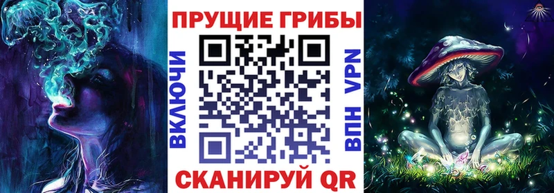 Псилоцибиновые грибы мухоморы  купить   Гай 