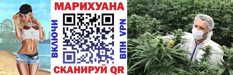 где продают наркотики  Гай  Каннабис SATIVA & INDICA 